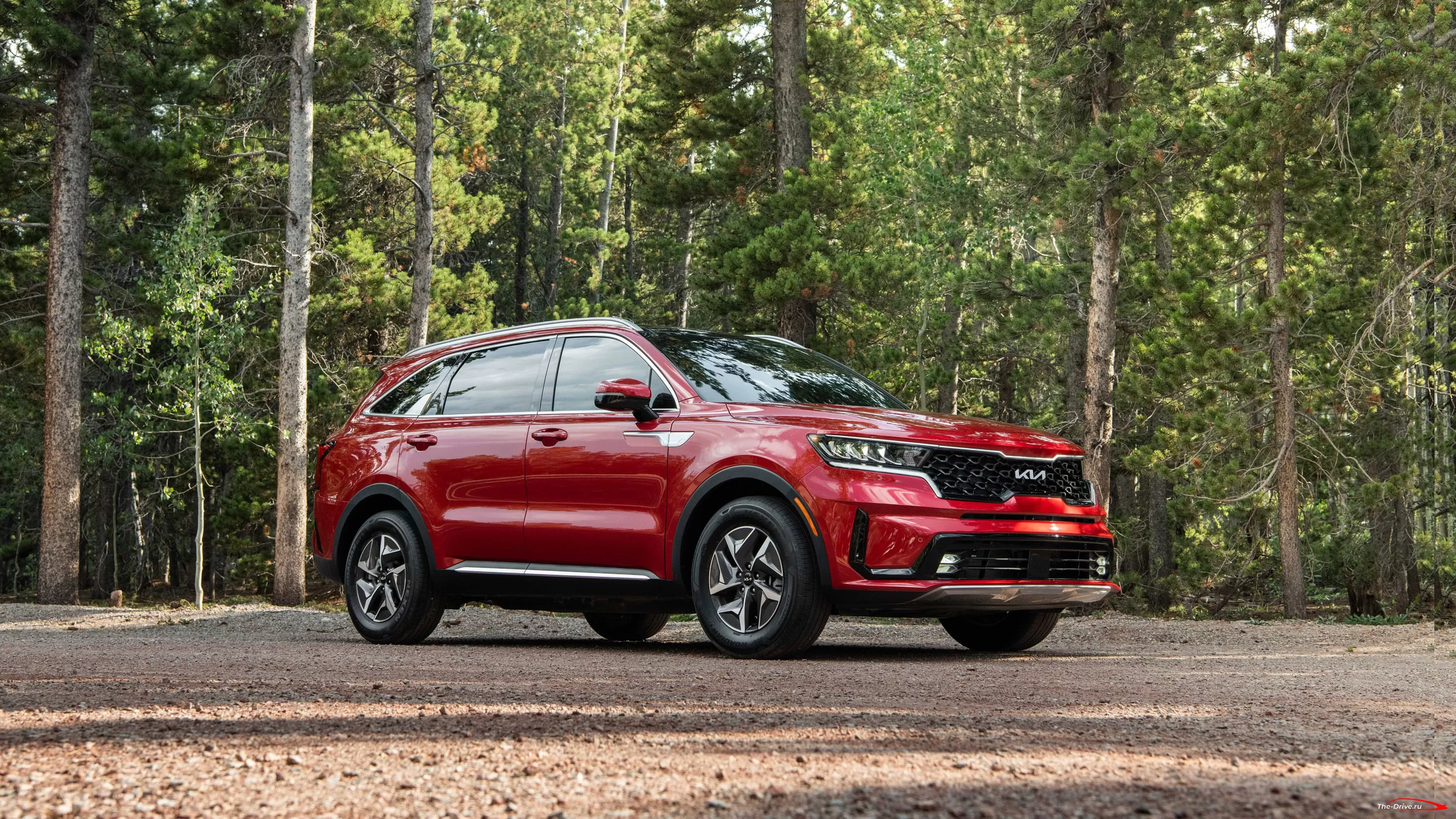 Линейки Kia Sorento Hybrid и PHEV 2023 года урезаны, цены повышены